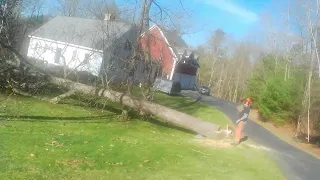 #House in #danger of  a #tree #hitting it....