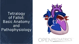 Tetralogy of Fallot: Basic Anatomy and Pathophysiology by P. Lang, L. DelSignore | OPENPediatrics