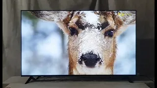 LG 65UR73006 | 4K UHD, Smart Tv, Wi-Fi, 2023рік.