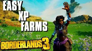 How to Quickly Level After the Story | Borderlands 3 XP Farms 2024