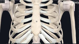 Thoracic cage مراجعه سريعه