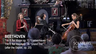 Beethoven: Gassenhauer-Trio & Grand Trio / Sabine Meyer, Sol Gabetta & Song-Jin Cho