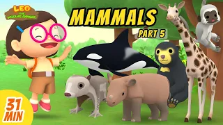 Mammals Minisode Compilation (Part 5/5) - Leo the Wildlife Ranger | Animation | For Kids