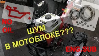 Motoblock with low gear Shtenli 1900 | Gearbox device | Noise in the box. ENG. SUB