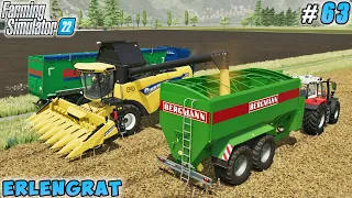 Harvesting corn for Cereal Factory, feeding sheep with grass | Erlengrat | FS 22 | Timelapse #63