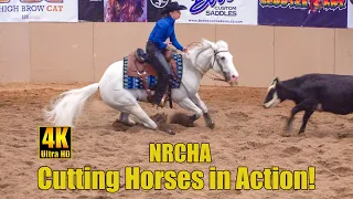 NRCHA Western Derby Cow Cutting Horse Show 2022 in 4K