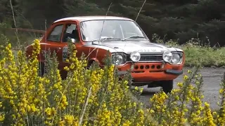 Moore and Faloon Springfling Targa Rally Davagh Forest 20:04:24