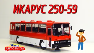 🚌🚋ИКАРУС-250.59 НАШИ АВТОБУСЫ №18 MODIMIO | Обзор масштабной модели 1:43