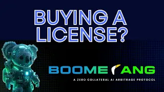 Watch BEFORE You INVEST in BOOMERANG AI  Crypto "Arbitrage" Trading.