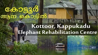 Kottoor Elephant Rehabilitation Centre | KAPPUKADU | TRIVANDRUM KOTTOOR