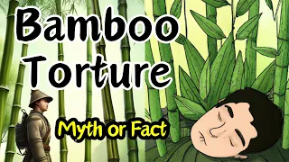 Mythbusters Bamboo Torture Method 😫 Revisited