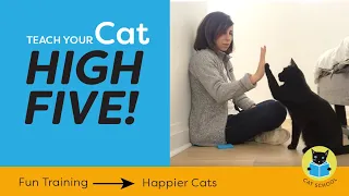 Teach Your Cat to High Five With Clicker Training!