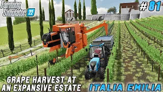 Investing in a Farm Estate for $5 Million with a Grape Harvest Focus  | Italian Farm | FS 22 | #81