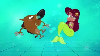 Zig & Sharko 🌊 WATER EXPERIENCE 🌊 2021 COMPILATION 🎭 Cartoons for Children