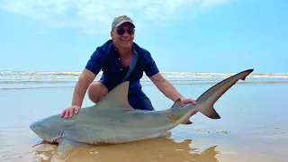 Shark Fishing Charter in South Texas