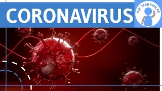 Coronavirus einfach erklärt - Definition, Merkmale, Symptome & Ansteckung Verbreitung - Hintergrund