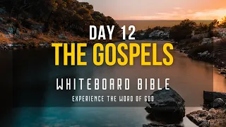 WHITEBOARD BIBLE: DAY 12 THE GOSPELS