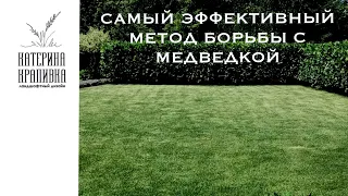 Самый эффективный метод борьбы с медведкой