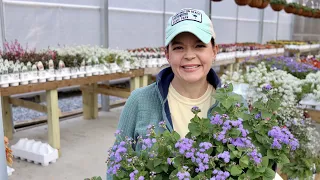 Perennial Shade Garden Tour | Gardening with Creekside