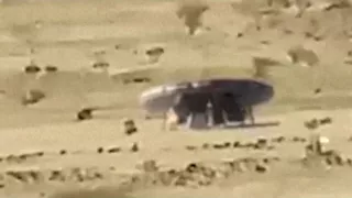 Извънземни се приземиха в Саудитска Арабия
