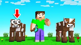 Which COW Is The REAL SLOGO?! (Minecraft Guess Who)