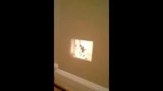 Old projector playing Mickey mouse