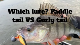 Which Soft lures are best? Paddle tail VS Curly tail VS V-tail