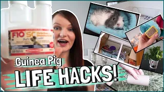 10 Awesome Guinea Pig LIFE HACKS you NEED to know!