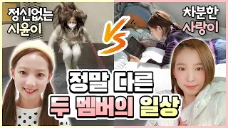 헉!!!! 너무 다른 일상을 보내는 사랑이와 시윤이!! 아니 이렇게나 다르다고?! 달라도 너무 다른 일상! 여러분들도 같이 확인해보세요!｜클레버TV