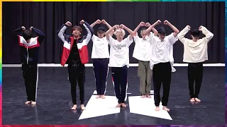 [MIRRORED] BTS (방탄소년단) 'Black Swan (블랙스완)' Dance Practice (안무연습 거울모드)