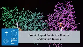 Protein Import Points to a Creator and Protein Jostling | Stars, Cells, and God ep5