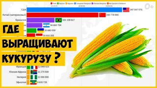 Производство Кукурузы в Мире. Статистика по Странам (1961-2019)