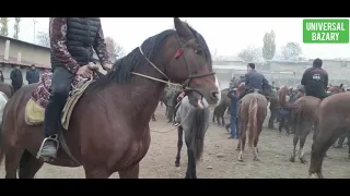 Ноокат Жылкы Базары Укмуш Кызыды Сындуу Аттар Чыкты