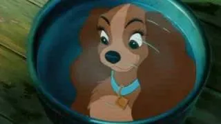 Lady And The Tramp;; Love Song