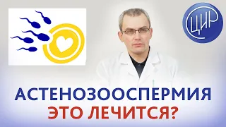 Астенозооспермия лечится? Возможна ли естественная беременность при астенозооспермии? Живулько А.Р.