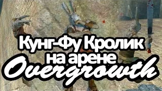 Overgrowth -  Юзя и Кунг-Фу Кролик на кровавой арене