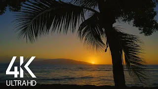 4K Tropical Beach Sunset - 10 HOURS Ocean Waves Sounds - Nature Soundscapes