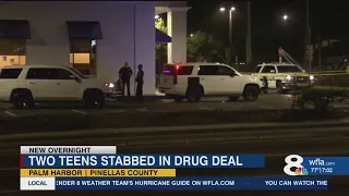 2 juveniles stabbed during drug deal in Pinellas County, deputies say