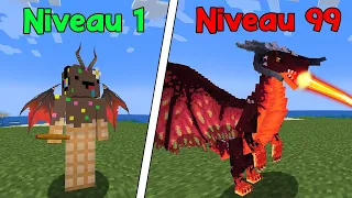 Je dois finir Minecraft en étant le Roi des Dragons..