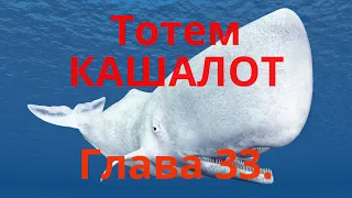 Тотем КАШАЛОТ. Глава 33. Энциклопедия "Всё о Шаманизме". Шаман - Сергей Попроцкий.  Прямой эфир.