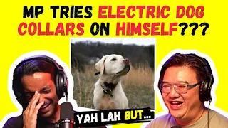 Pritam Singh Wades into Leong Mun Wai POFMA Case & MP Tests Electric Dog Collars on Himself #YLB 501