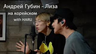 Андрей Губин - Лиза на корейском Cover with HARU