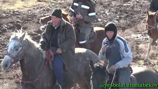 Бәйдібек ауданы Сарқырама ауылы Шынтасовтар әулеті берген көкпар 2023жыл