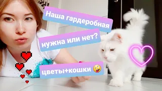 ЖИЗНЬ С МЕЙН-КУНАМИ / НАША ГАРДЕРОБНАЯ / РАССАДА+КОШКИ =😝