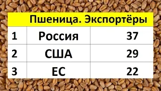 Россия №1 на рынке пшеницы