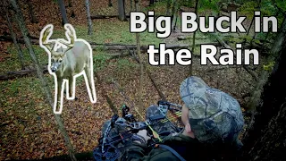 HUNTING A BIG BUCK IN THE RAIN