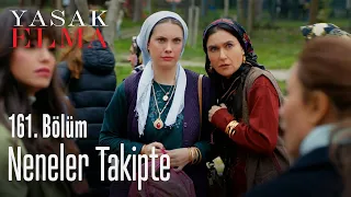 Neneler takipte - Yasak Elma 161. Bölüm