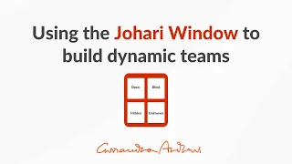 How do I use the Johari Window to build a dynamic team?