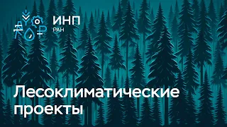 Как России достичь углеродной нейтральности? Лесоклиматические проекты. Декарбонизация.