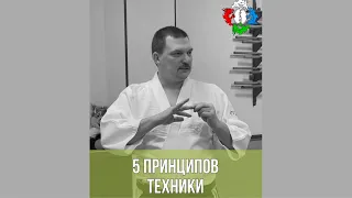 5 принципов техники айкидо